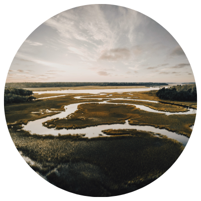 Lowcountry Marsh Lowcountry Marsh